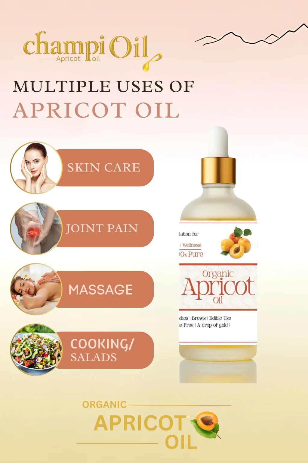 Champi Organic Apricot Oil